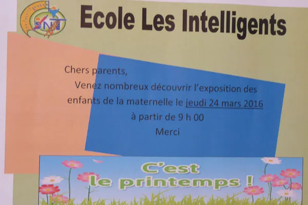 Ecole Les Intelligents